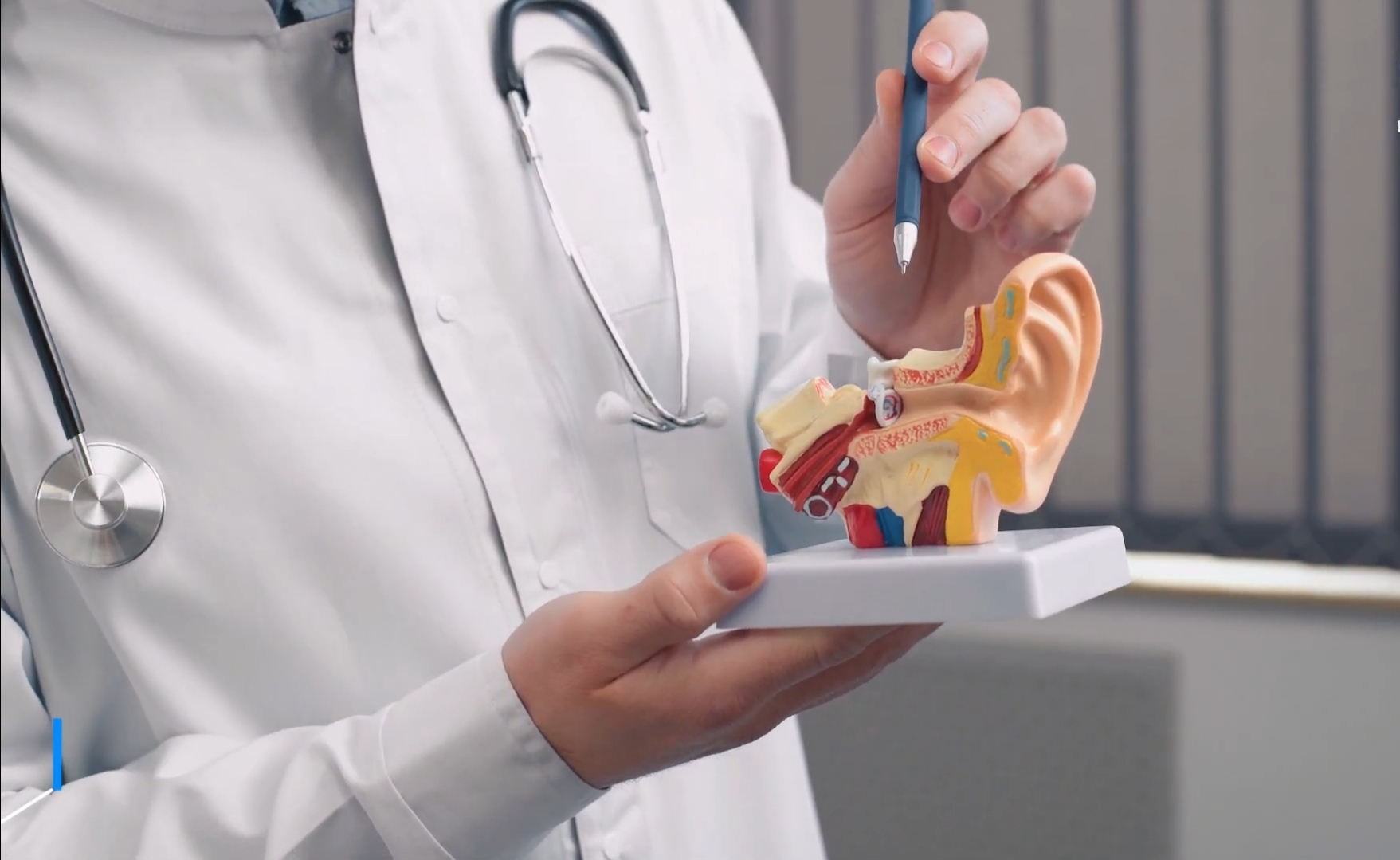 คลินิก หู คอ จมูก